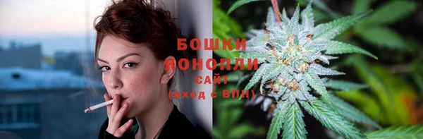 дмт Кодинск