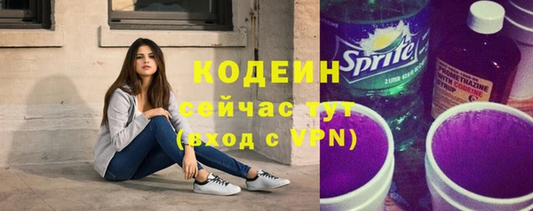 дмт Кодинск