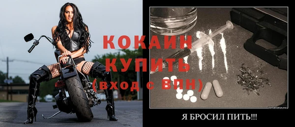 дмт Кодинск