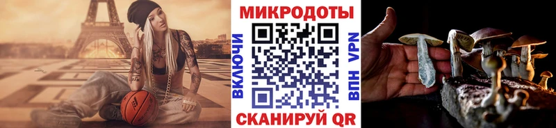 цены Краснообск Галлюциногенные грибы Psilocybine cubensis